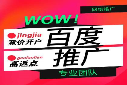 百度推广费用预算：案例分析及建议